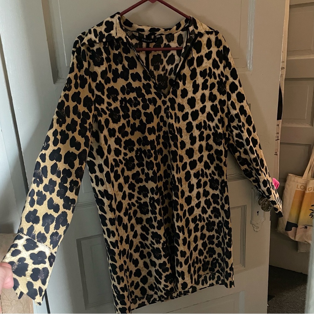 Zara Leopard Print Long Sleeve Dress